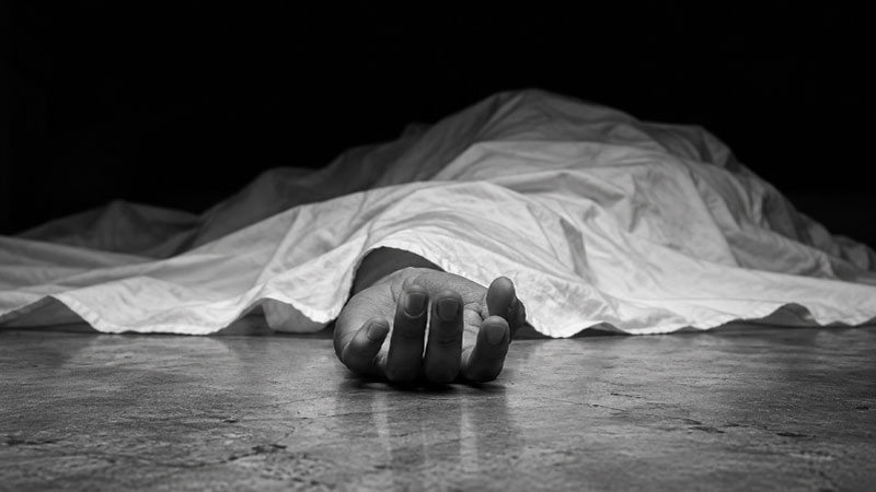 রাজধানীতে কাভার্ডভ্যানের ধাক্কায় বিদেশিসহ নিহত ২