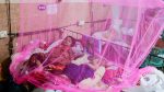 ডেঙ্গুতে আরও ৪ জনের মৃত্যু, হাসপাতালে ভর্তি ১৩১৪