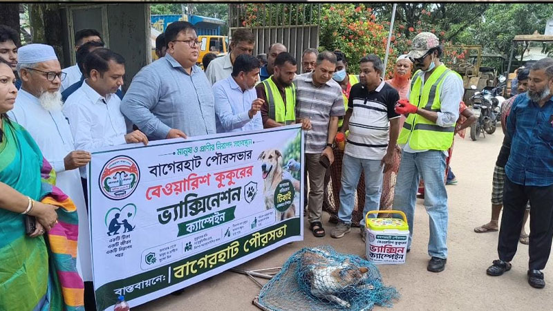 বাগেরহাটে বেওয়ারিশ কুকুরকে ভ্যাকসিন দেওয়া কার্যক্রম শুরু