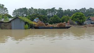চাঁপাইনবাবগঞ্জে ৩ নদীর পানি বাড়ছে