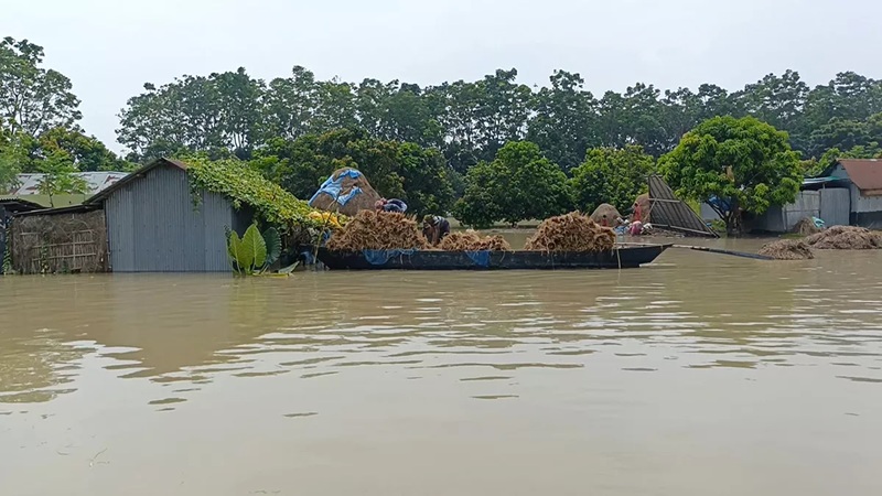 চাঁপাইনবাবগঞ্জে ৩ নদীর পানি বাড়ছে