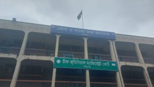 শাশুড়ি হত্যা মামলায় ১৯ বছর পর জামাইয়ের যাবজ্জীবন