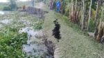 ঝালকাঠিতে নদীভাঙনে ঝুঁকিতে বিদ্যালয়, বাঁধ ভেঙে প্লাবনের শঙ্কা