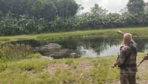 ঝিনাইদহের মহেশপুর সীমান্তে পুশইন চেষ্টা