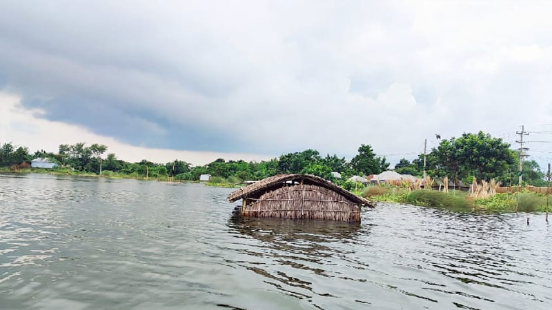 কুষ্টিয়ায় পানিবন্দী ৫০ হাজার মানুষ, ১৮ স্কুলে পাঠদান বন্ধ