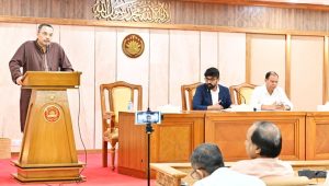 প্রধানমন্ত্রীর জাতিসংঘ সফরে দেশের স্বার্থ গুরুত্ব পেয়েছে: মাহদী আমিন