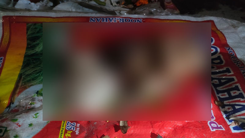 বরিশালে ময়লার স্তূপে দুই নবজাতকের মরদেহ উদ্ধার