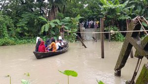 সেতু ভেঙে খালে, ডিঙি নৌকায় পার হচ্ছে শিক্ষার্থীরা