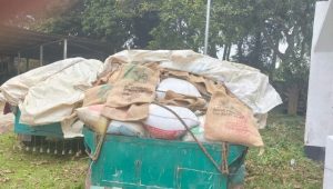 নেত্রকোনায় পাচারকালে ১০০ বস্তা সরকারি চাল জব্দ, আটক ২