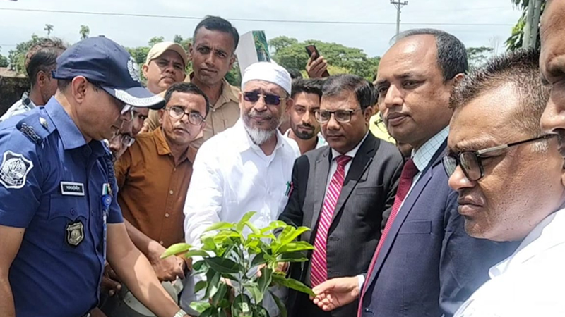 হাসিনা দেশে ফিরে বিচার মেনে নেবেন আশা বাবরের