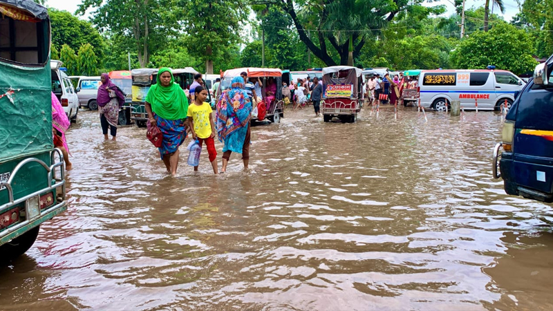 রাজশাহীতে বৃষ্টি: আমনখেতে স্বস্তি, নগরে জলাবদ্ধতার ভোগান্তি