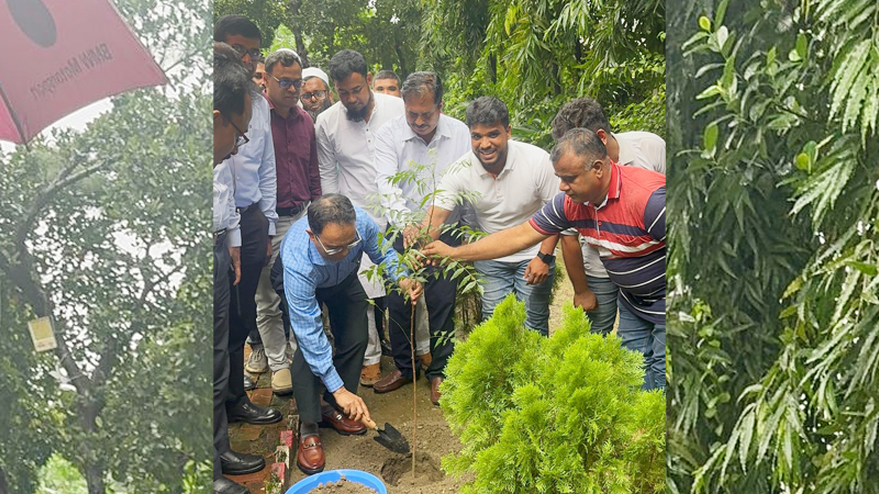 কর্মচারীদের উদ্যোগে এলজিইডিতে বৃক্ষরোপণ কর্মসূচি