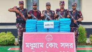 ফেনী সীমান্তে ৩৪ কেজি ভারতীয় গাঁজা জব্দ