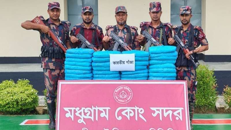 ফেনী সীমান্তে ৩৪ কেজি ভারতীয় গাঁজা জব্দ