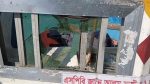 ঝালকাঠিতে মৎস্য বিভাগের অভিযানে হামলায় আহত ৭