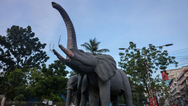 অযত্নে বিবর্ণ নগরীর সৌন্দর্যের প্রতিচ্ছবি
