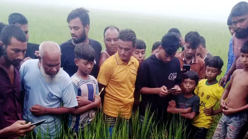 দিনাজপুরে ধান খেত থেকে অটোভ্যানচালকের মরদেহ উদ্ধার