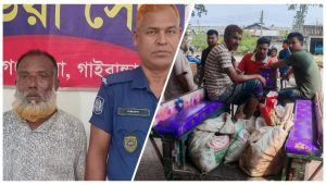 ‘চোরাই গরু’ দিয়ে বৌভাতের আয়োজন, বরের বাবা আটক