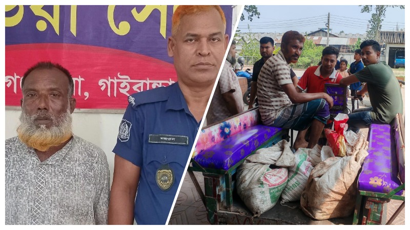 ‘চোরাই গরু’ দিয়ে বৌভাতের আয়োজন, বরের বাবা আটক