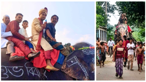 মায়ের শখ পূরণে হাতির পিঠে চড়ে বিয়ে, উৎসুক জনতার ঢল