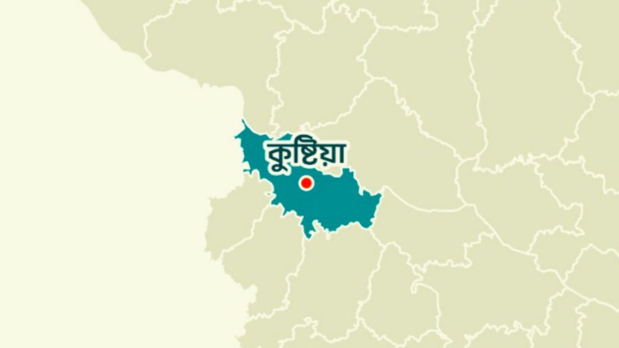 ৪০ মিনিটে পাগলা কুকুরের কামড়ে আহত ৪৫