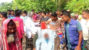 কুষ্টিয়ায় বাসের ধাক্কায় নারীসহ নিহত ২