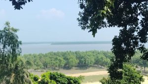 নাফ নদী থেকে গুলিবিদ্ধ অজ্ঞাত ব্যক্তির মরদেহ উদ্ধার