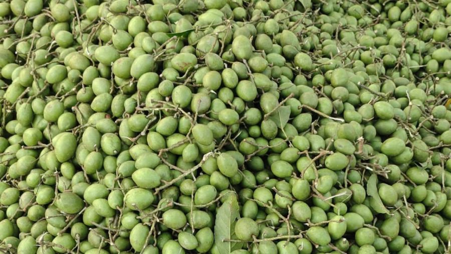 সিরাজগঞ্জে জলপাইয়ের মৌসুমে বাগবাটির হাটে টক ফলের উৎসব