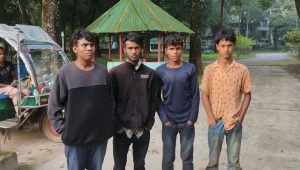 ভারতে অনুপ্রবেশের চেষ্টা ৭ জনের, আটক ৪