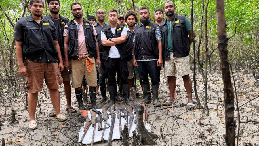 সুন্দরবনে জলদস্যুদের পুঁতে রাখা অস্ত্র উদ্ধার
