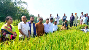 কৃষক সেন্টুর বাড়িতে ডিসি