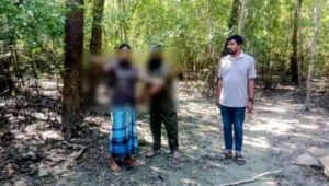 বরগুনায় ৬ ফুট লম্বা দাঁড়াশ সাপ উদ্ধার, হরিনঘাটায় অবমুক্ত