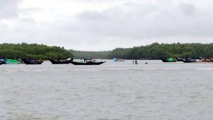মৌসুমের শুরুতেই বৈরী আবহাওয়ায় বিপাকে দুবলার চরের জেলেরা
