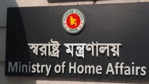 কিশোর গ্যাং প্রতিরোধে সব উপজেলায় ইউএনও-ওসির নেতৃত্বে কমিটি