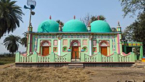 অস্তিত্বের সংকটে বারুহাসের ঐতিহাসিক তিন গম্বুজ মসজিদ, ইমামবাড়ি