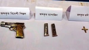 শিবগঞ্জে আমবাগান থেকে বিদেশি পিস্তল, গুলি ও ম্যাগাজিন উদ্ধার