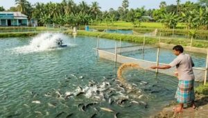 ২৯ বাঁওড়ে ৪৭ কোটি টাকার প্রকল্প: সমৃদ্ধ হবে জেলেদের জীবিকা