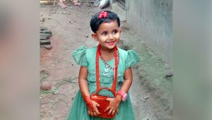 ঝিনাইদহে ট্রাক্টর চাপায় শিশুর মৃত্যু