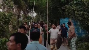 ফরিদপুরে মাদ্রাসা ছাত্রীদের উত্ত্যক্ত করা নিয়ে সংঘর্ষ, আহত অন্তত ১২