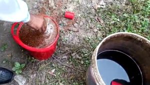 চাঁপাইনবাবগঞ্জে বিস্ফোরণের পর ১১ ককটেল উদ্ধার