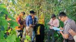 নেত্রকোনায় জঙ্গলে মিলল হাত-পা বাঁধা অটোরিকশাচালকের মরদেহ