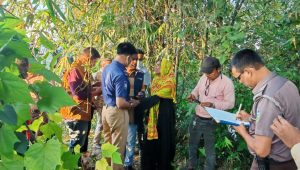 নেত্রকোনায় জঙ্গলে মিলল হাত-পা বাঁধা অটোরিকশাচালকের মরদেহ
