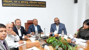 সেন্টমার্টিনে পর্যটক সংখ্যা, ভ্রমণের সময়সীমা পুনর্বিবেচনা হবে: মন্ত্রী