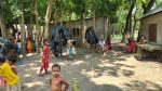 নৌকা ছেড়ে ডাঙ্গায় স্থায়ী ঠিকানায় বেদে সম্প্রদায়