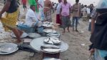 শিবচরের পদ্মার পাড়ে থেমে নেই ইলিশ বিক্রি