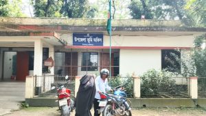 এসিল্যান্ড শূন্য জামালপুরের তিন উপজেলা, ভোগান্তিতে বাসিন্দারা
