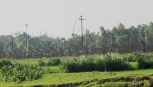 পাটগ্রাম সীমান্তে ১২ জনকে পুশইনের চেষ্টা রুখে দিল বিজিবি