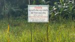 পিরোজপুরের জামায়াত নেতার বিরুদ্ধে মন্দিরের জমি দখলের অভিযোগ