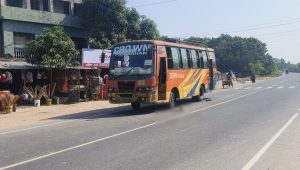 মেহেরপুরে বাসচাপায় ভ্যানচালক নিহত