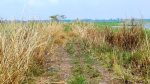 ১ কোটি ২০ লাখ টাকার সড়ক গায়েব!